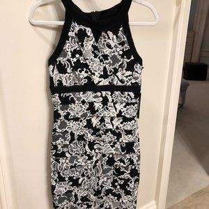 White House Black Market Dress (Tags still on!)
